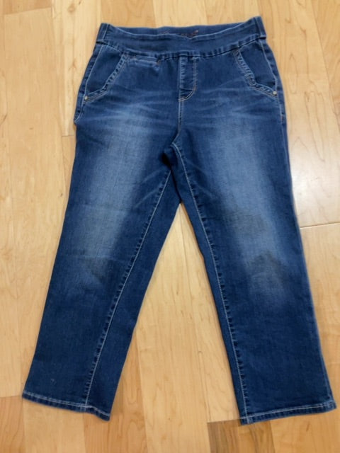 DARK DENIM JAG CROPPED JEANS 8