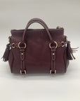 BURGUNDY DOONEY & BOURKE SATCHEL