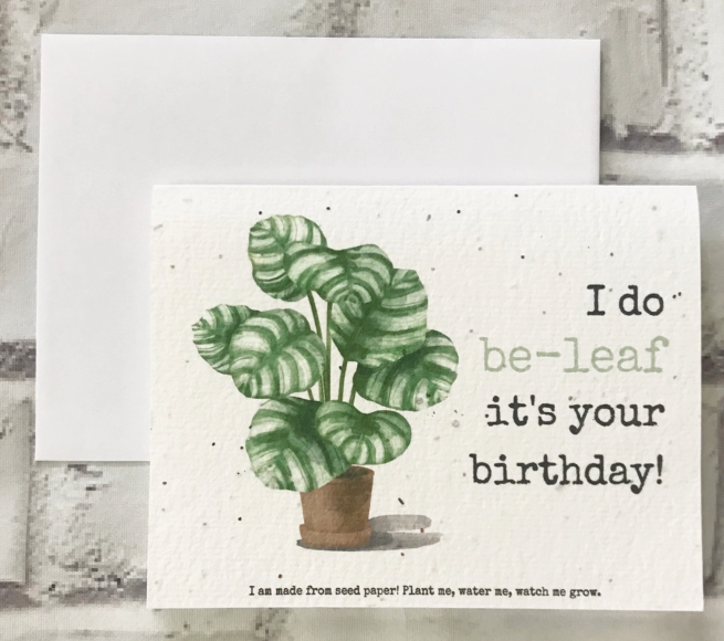 Sustainable Greeting Cards