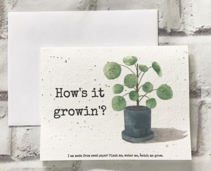 Plantable Greeting Cards