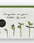 Congrats on Your Little Sprout - Plantable Greeting Card