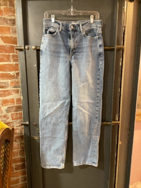 LIGHT WASH BANANA REPUBLIC DENIM 29L